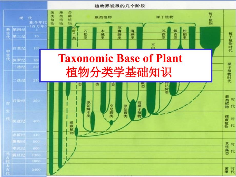 省竞赛辅导植物分类_第1页