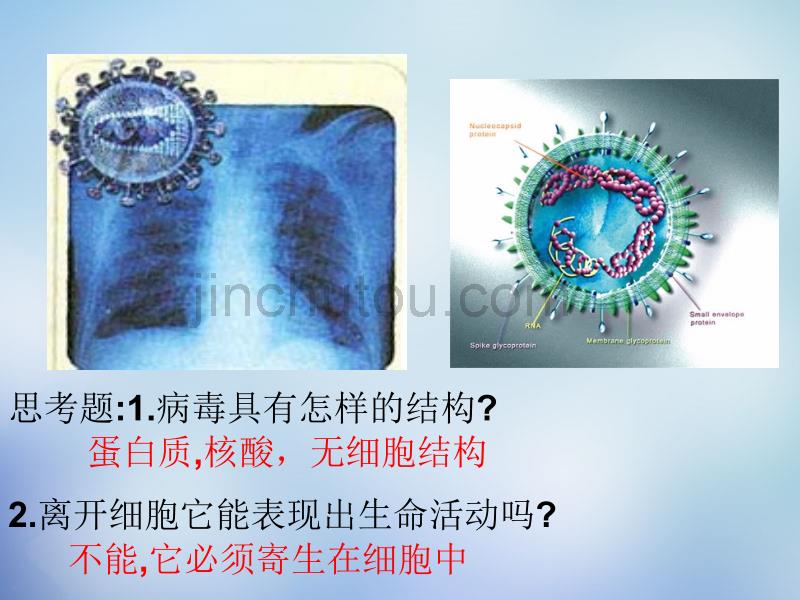 湖南省高中生物 1.1从生物圈到细胞课件 新人教版必修1_第2页