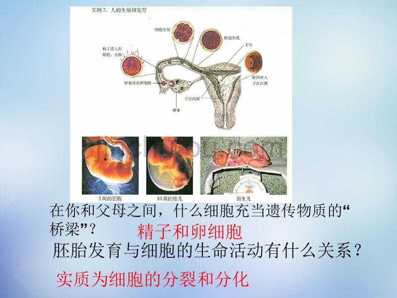 湖南省高中生物 1.1从生物圈到细胞课件 新人教版必修1_第4页