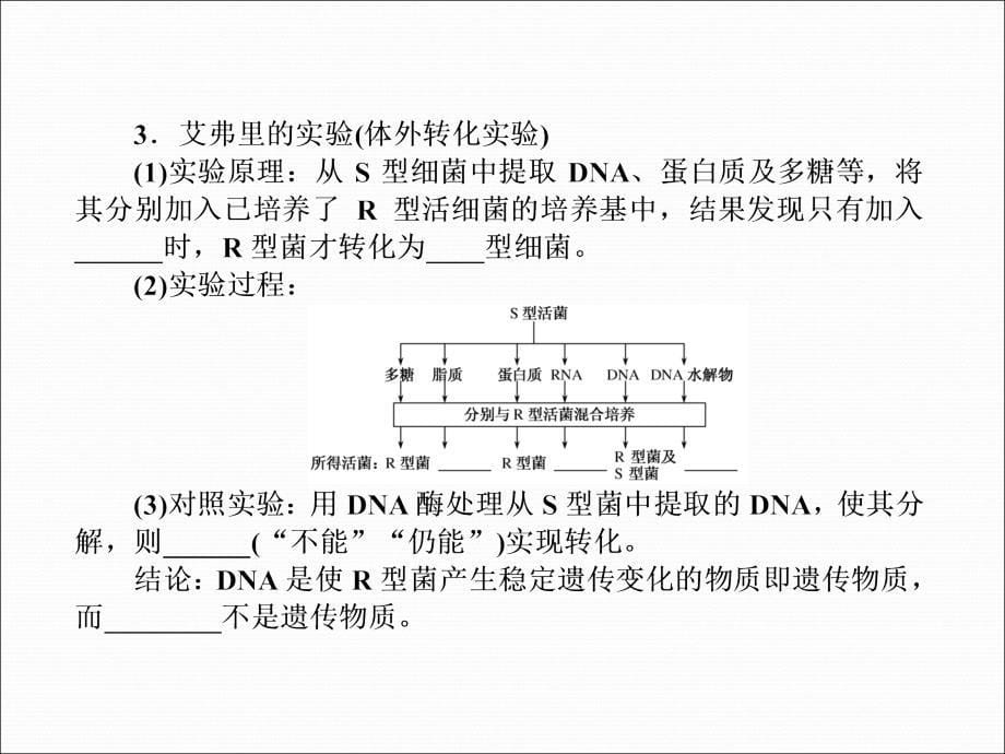 2013届高三生物一轮复习典型例题2.3.1DNA是主要的遗传物质课件_第5页