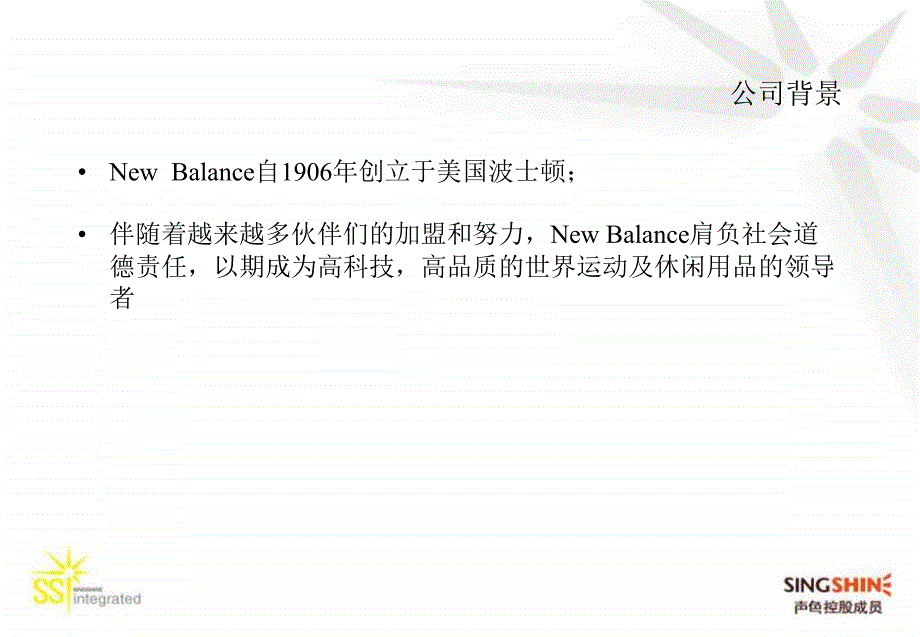 2005NewBalance集团年会策划方案-26P_第2页