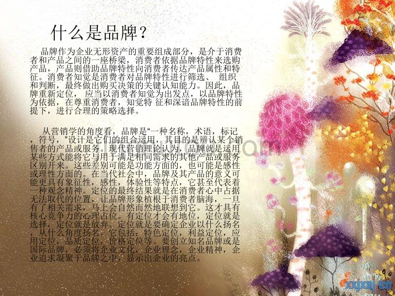 产品的不同品牌分_第2页