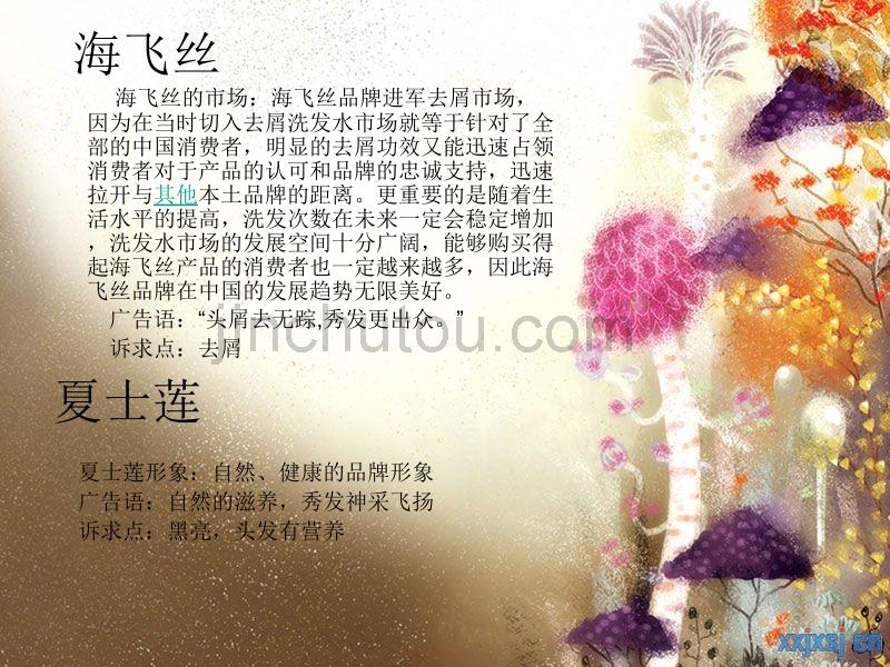 产品的不同品牌分_第4页