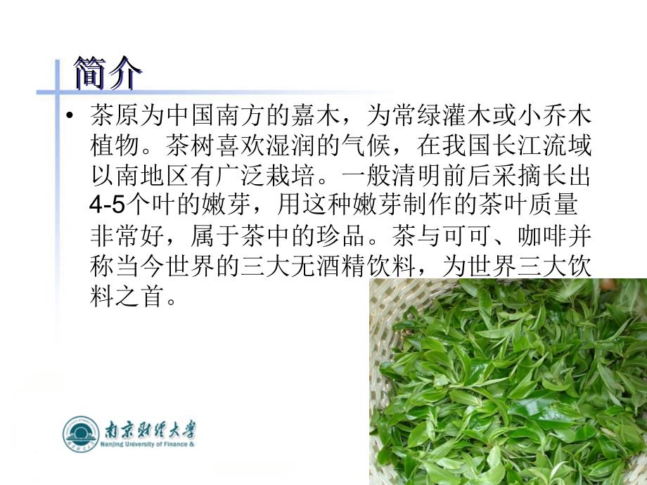 茶的发酵与微生物发酵_第2页