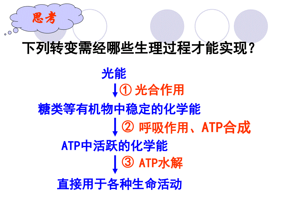 5.4.1捕获光能的色素和结构课件_第2页