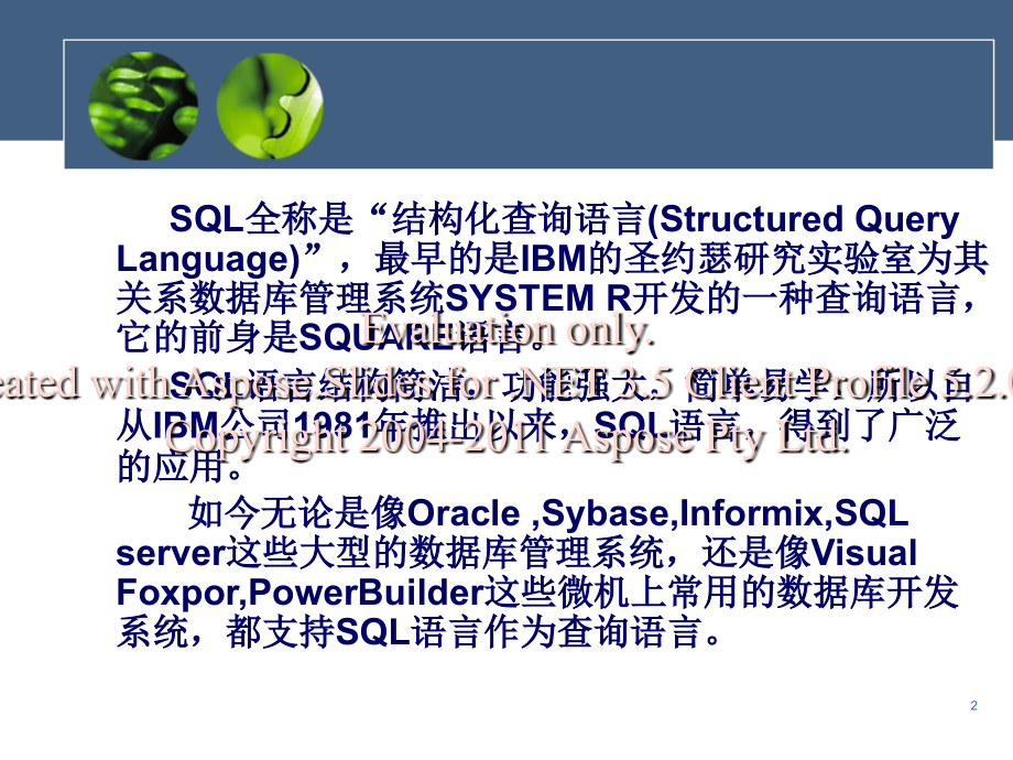 SQL语言及应用_第2页