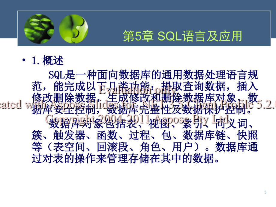 SQL语言及应用_第3页