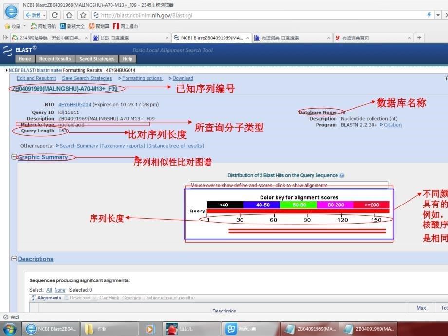 NCBI序列比对方法与实例操作_第5页