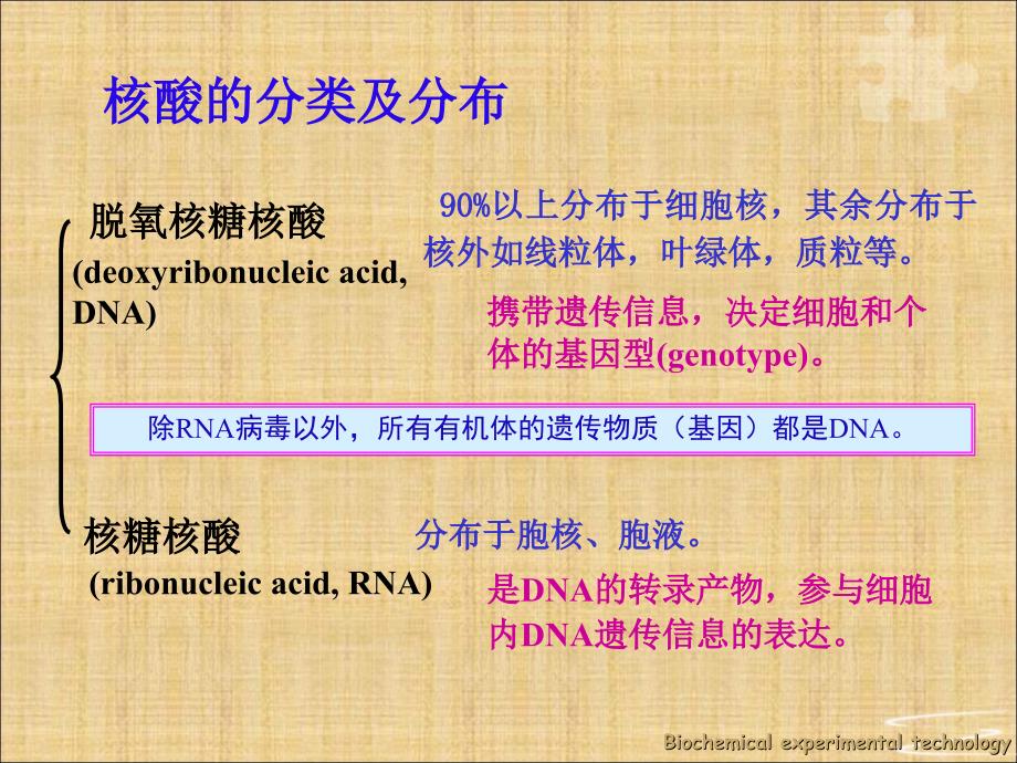 酵母核糖核酸的提取及组分鉴定卢忠燕_第3页