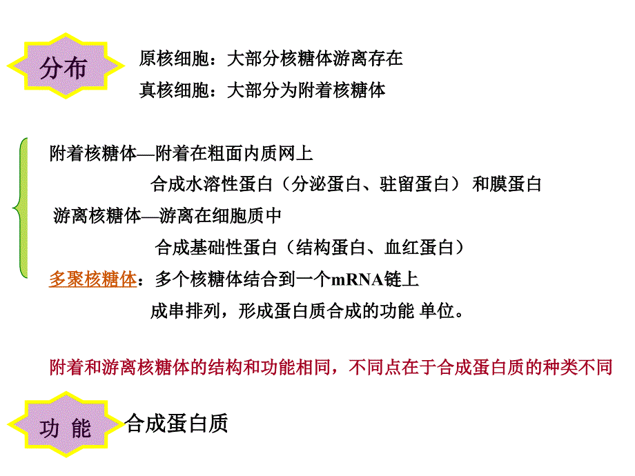 细胞生物学细胞的内膜系统与囊泡转运_第3页