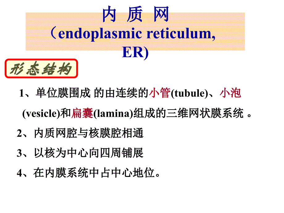 细胞生物学细胞的内膜系统与囊泡转运_第4页