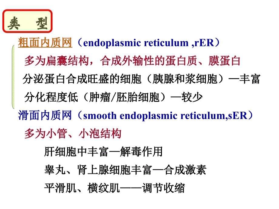 细胞生物学细胞的内膜系统与囊泡转运_第5页