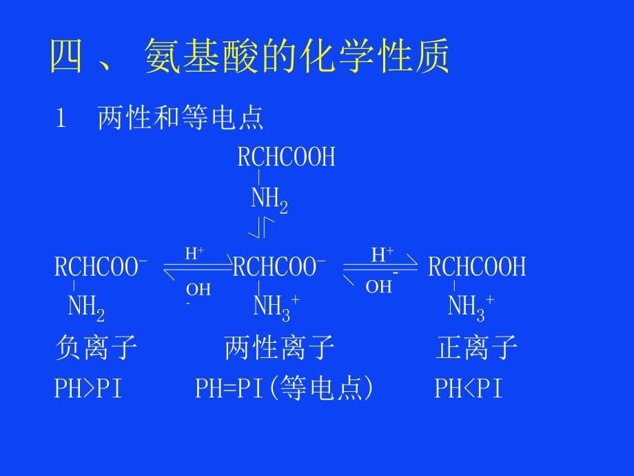 氨基酸与对映异构_第5页