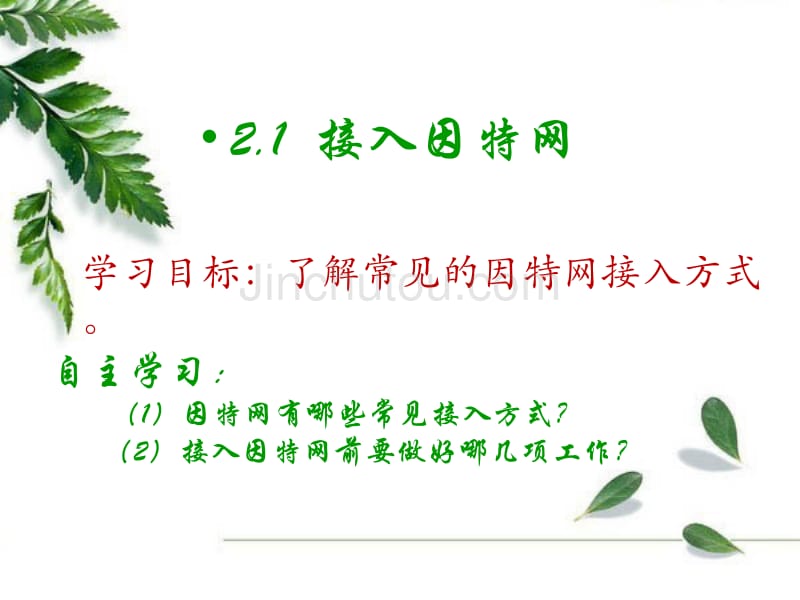 2.1接入因特网(课堂)_第2页