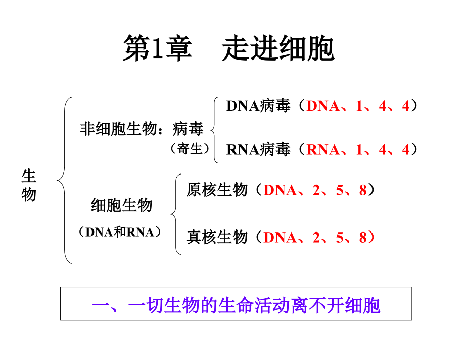 高中生物必修一复习_第2页