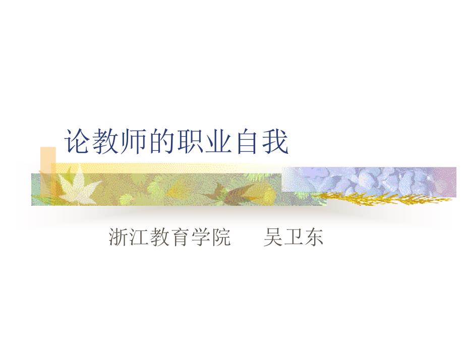 论教师的职业自我_第1页