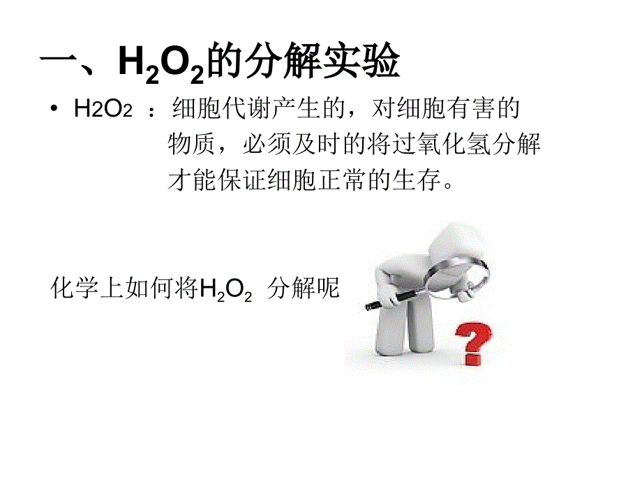 酶的作用和本质wanzheng_第4页