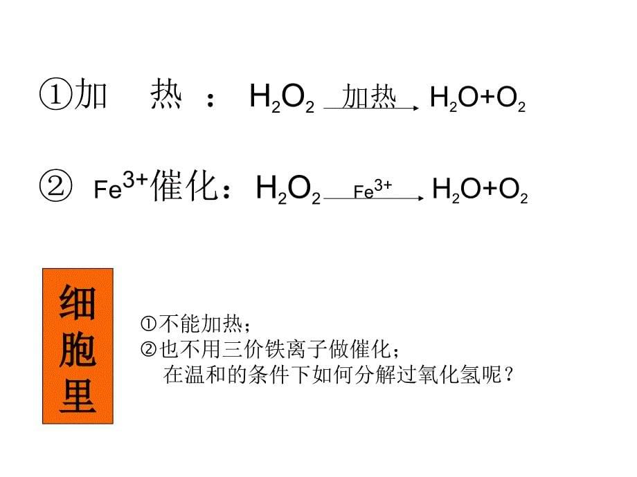 酶的作用和本质wanzheng_第5页