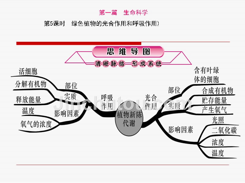 时绿色植物的光合作用和呼吸作用_第1页