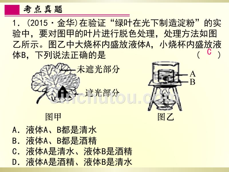 时绿色植物的光合作用和呼吸作用_第4页