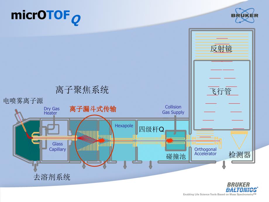 高分辨质谱仪全方位应用_第4页