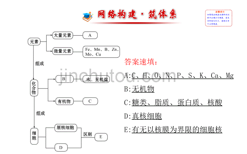 2013-2014学年高中生物必修一阶段复习课_第2页