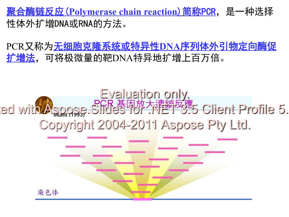 实验四PCR技术在动物传染病诊断中的作用_第3页