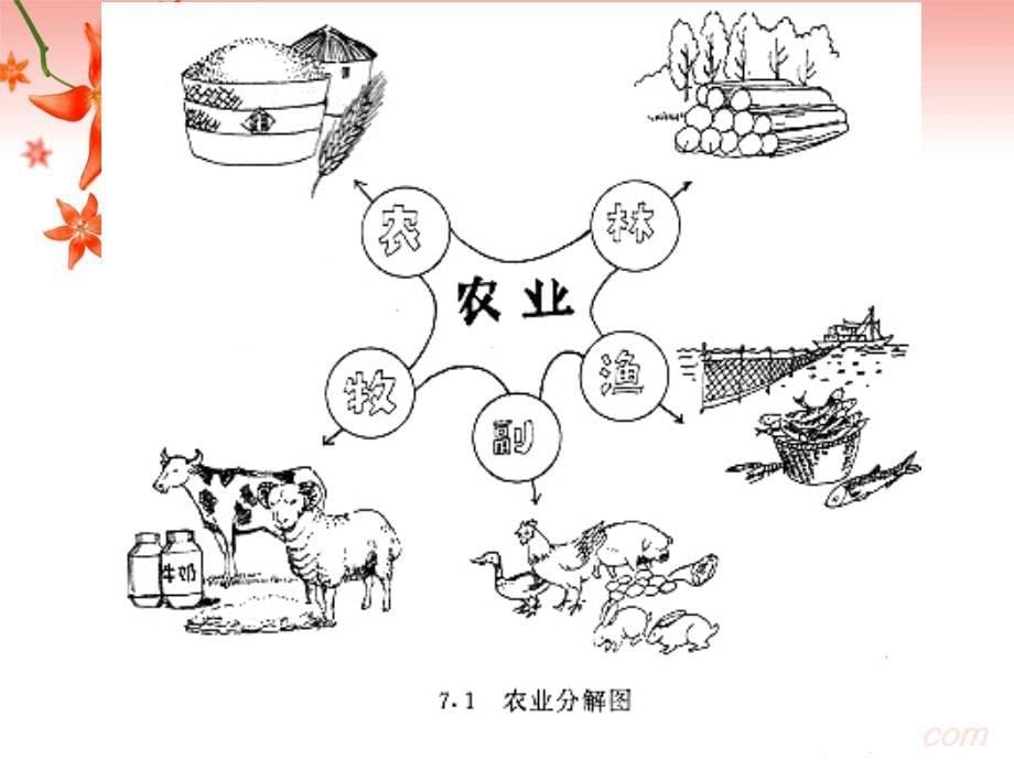 2010高考中国地理复习系列课件08《中国的农业》_第5页