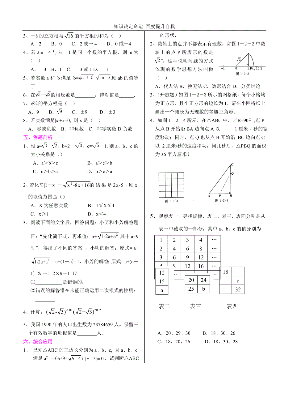 数学f初中数学中考一轮复习教案之数及式_第2页