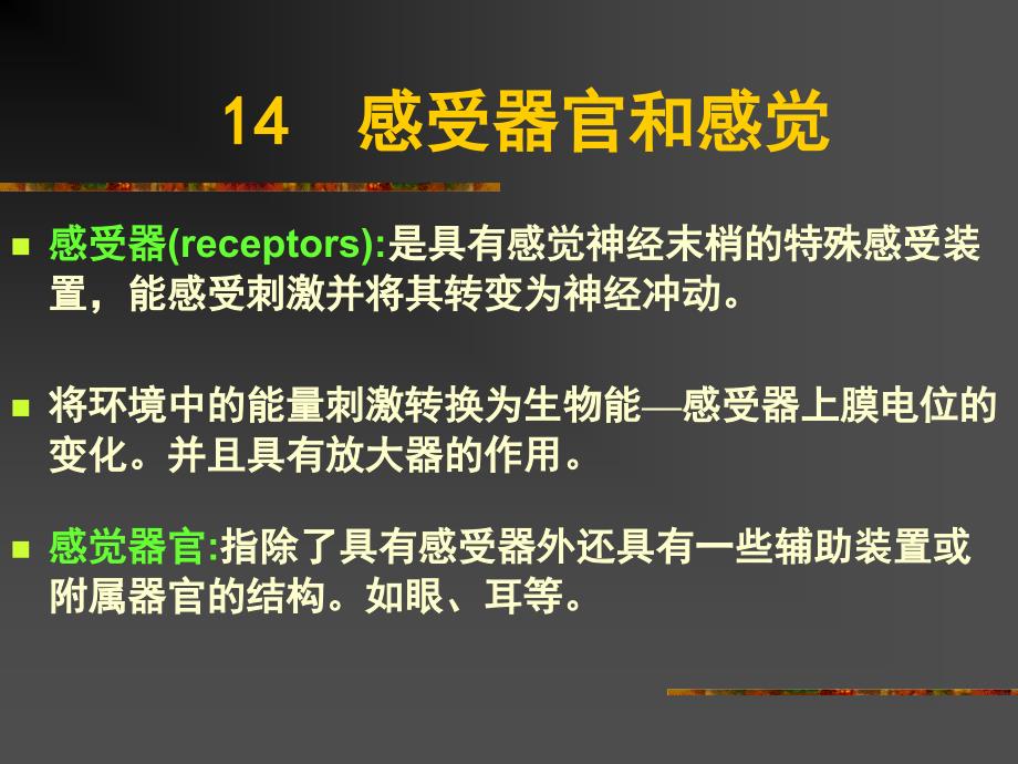 普通生物学感觉器官与感觉_第1页