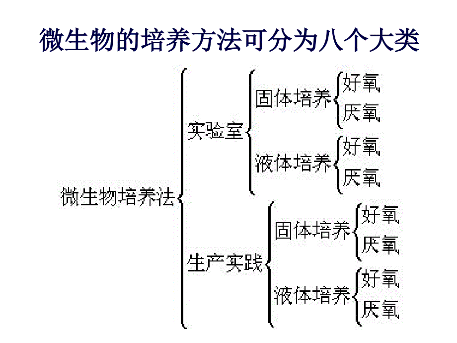 4.微生物培养法概论_第4页