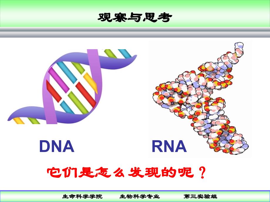 实验三组教学软件生命的使者核酸的发现历程_第2页