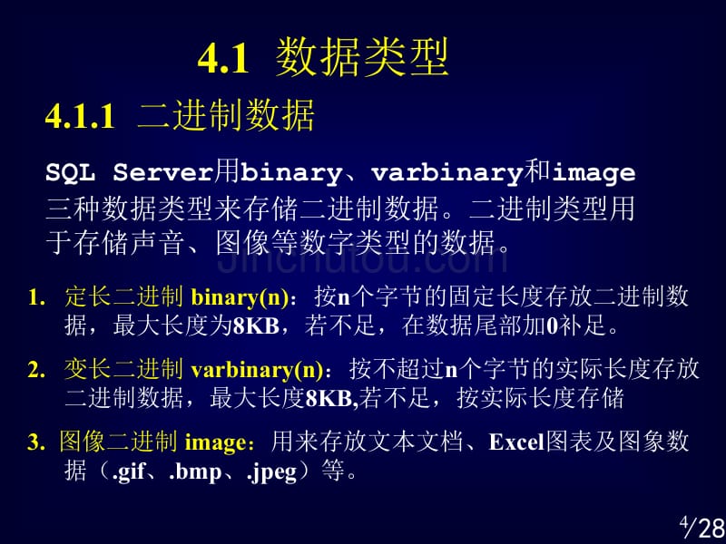 SQL数据库系统-数据类型_第4页