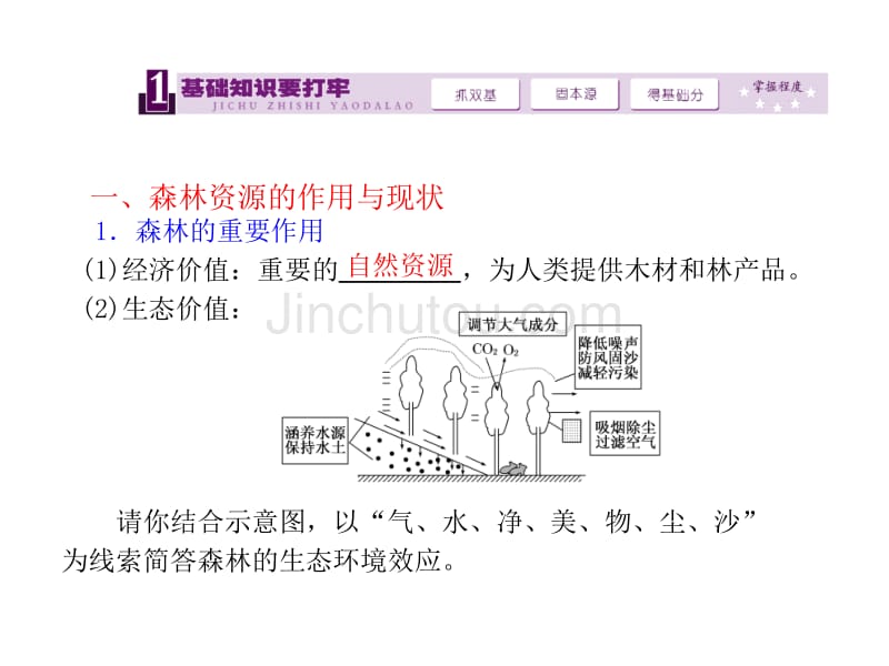 森林的开发和保护以亚马孙热带雨林为例_第2页