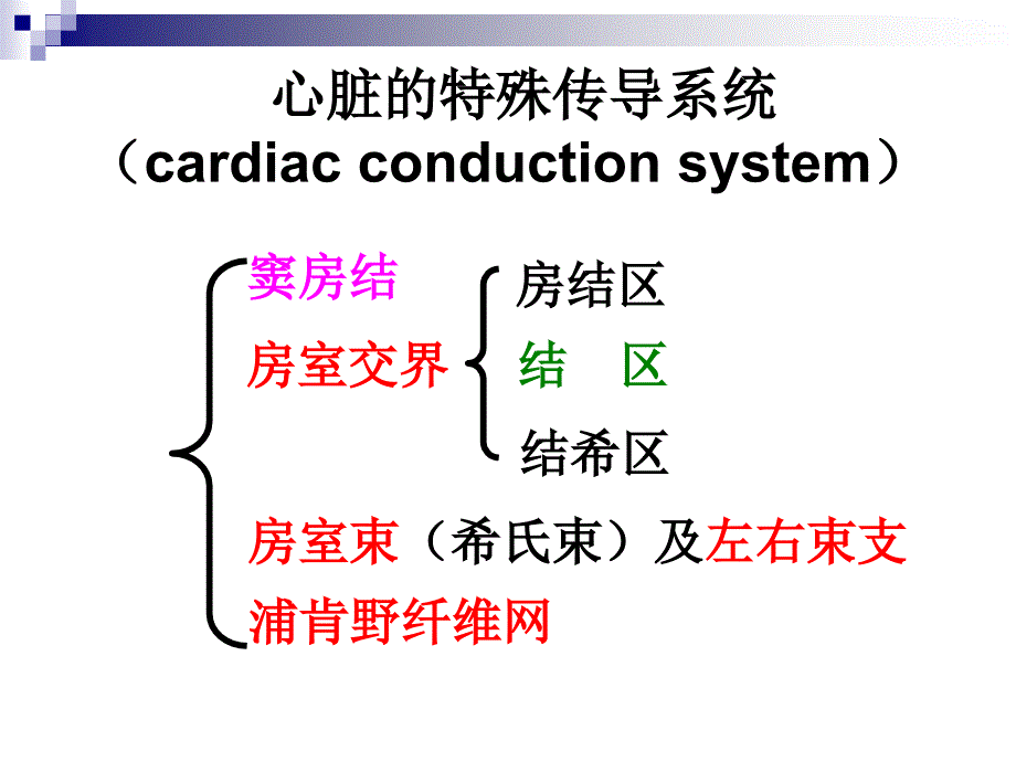 4-2心肌细胞的生物电_第3页