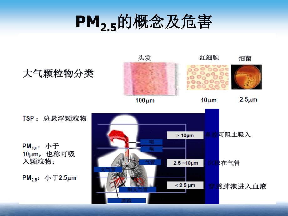 空气污染控制理论与技术_第4页