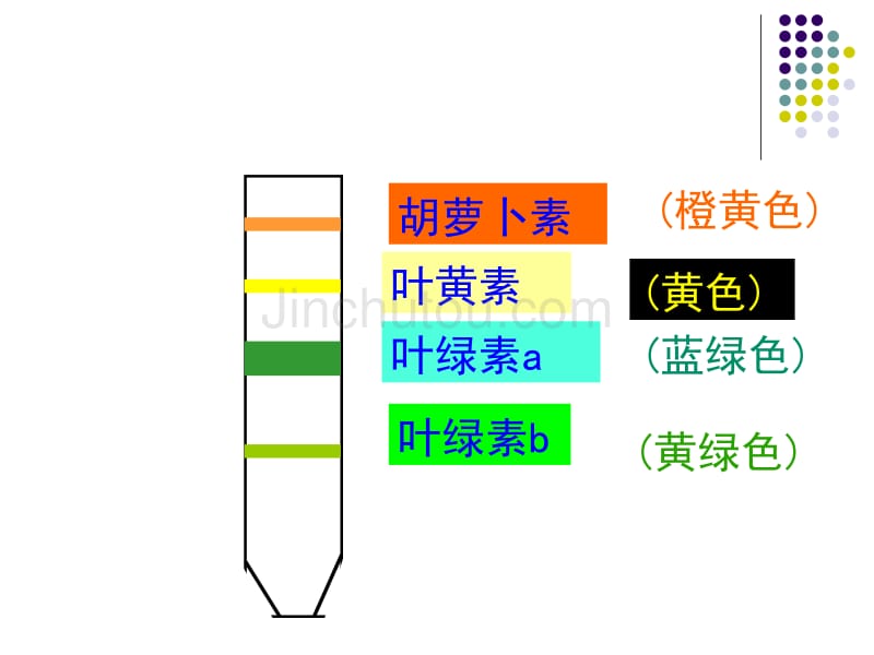 高中生物必修一第五章第四节《能量之源——光与光合作用》课件_第5页