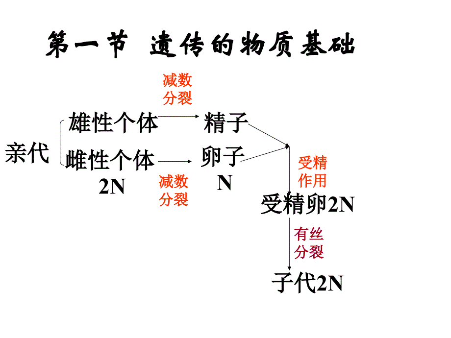 DNA是主要的遗传物质--旧人教版_第3页