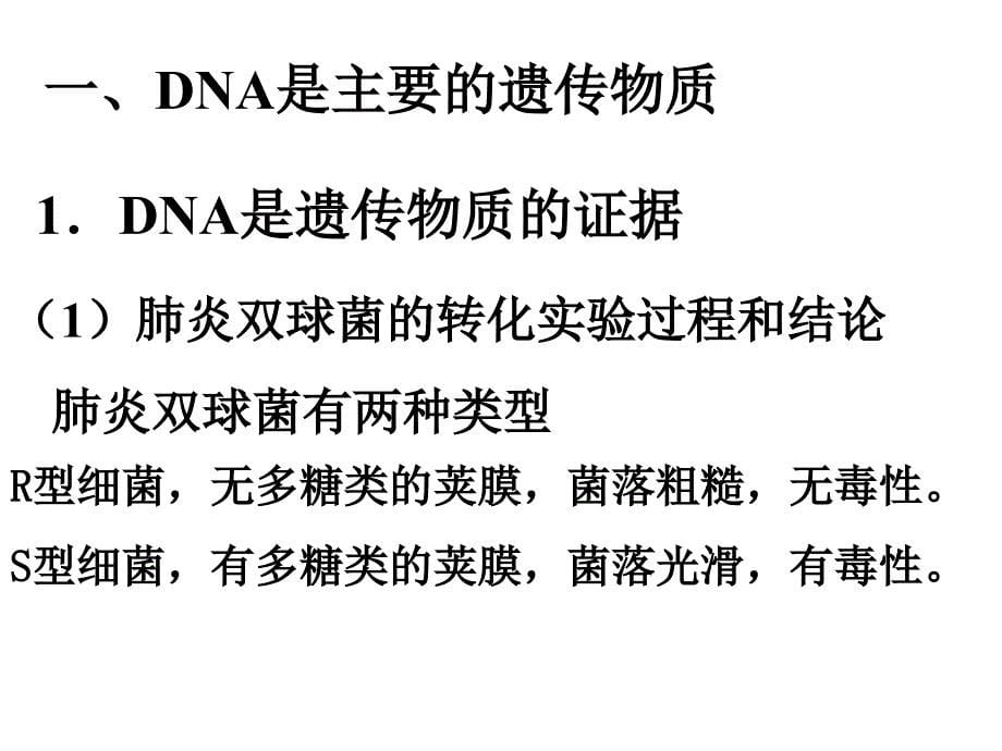DNA是主要的遗传物质--旧人教版_第5页