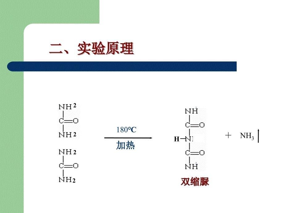 经典蛋白含量测定方法比较及双缩脲法实验步骤简介_第5页