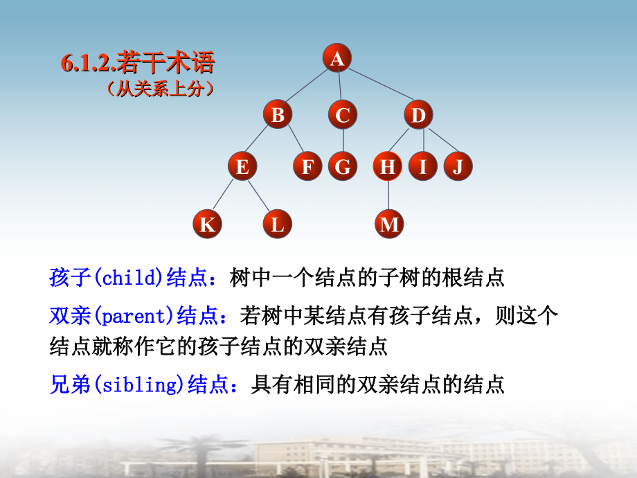 大学数据结构课件树和二叉树_第4页