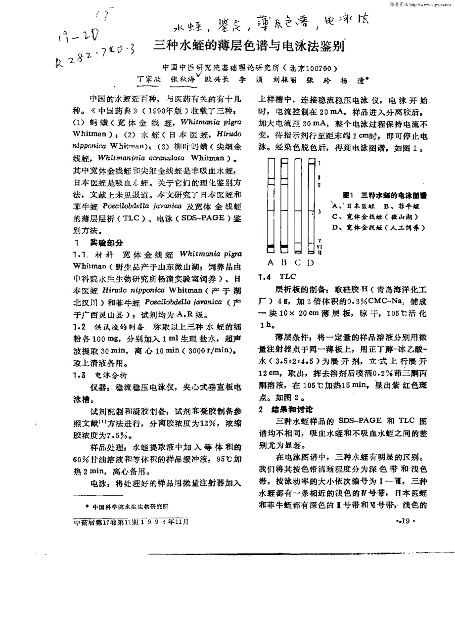 三种水蛭的薄层色谱与电泳法鉴别_第1页