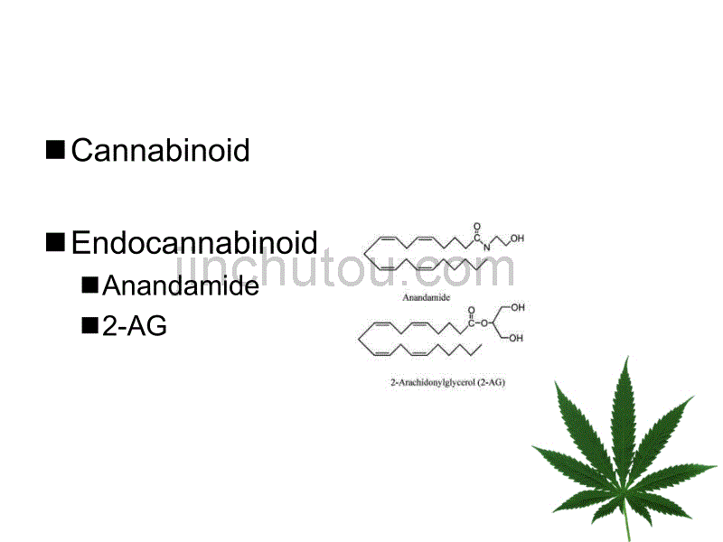 EnannabinoidSystem内源性大麻素系统_第3页