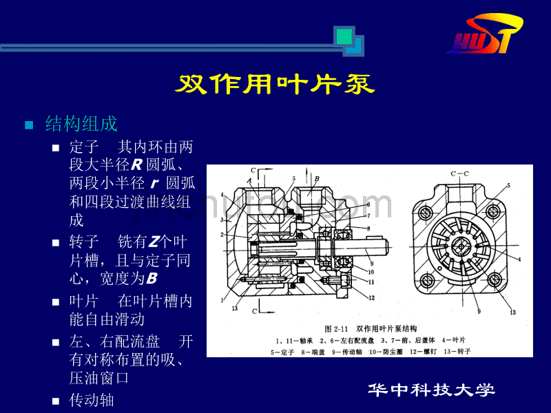 叶片泵的种类及结构图_第3页