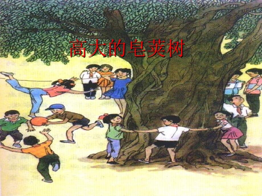 《高大的皂角树》课件_第1页