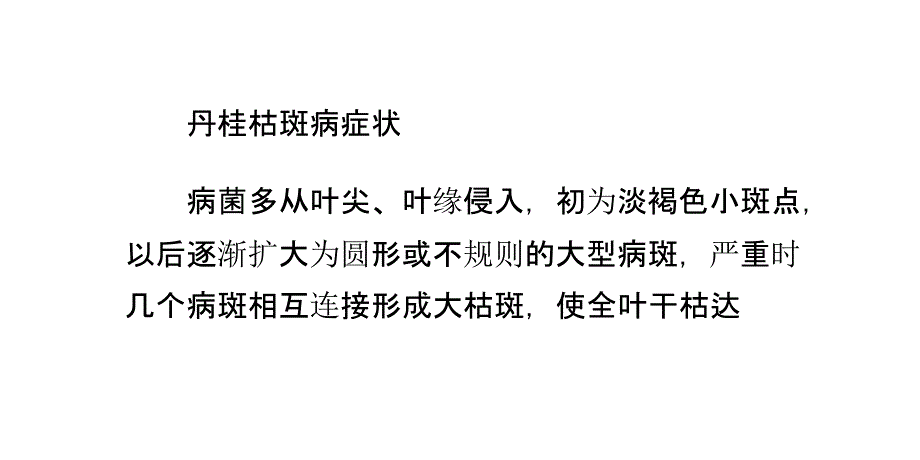 丹桂树叶斑病的防治方法_第3页