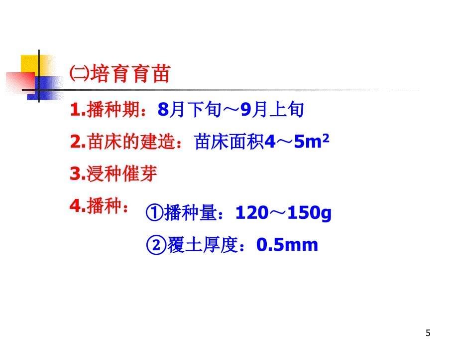 辣椒冬茬设施栽培技术_第5页