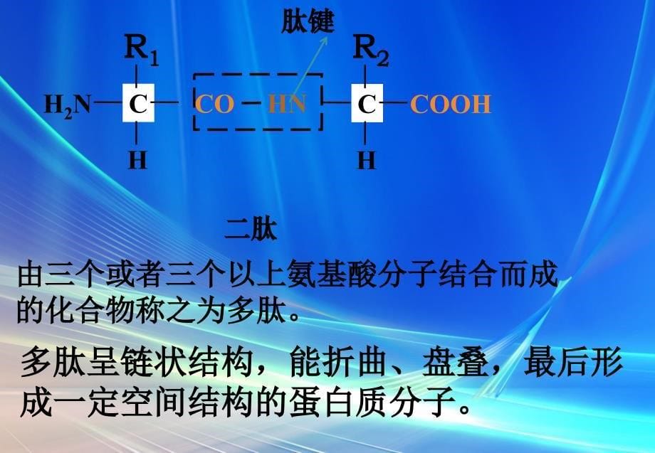 氨基酸的结合方式_第5页