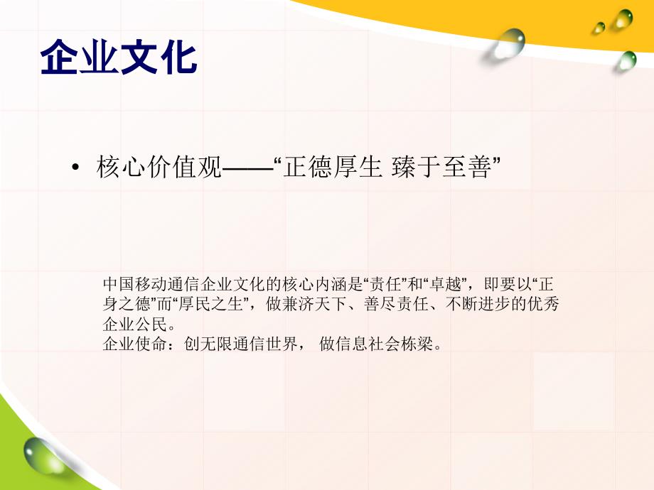 中国移动宣传与未来挑战_第4页