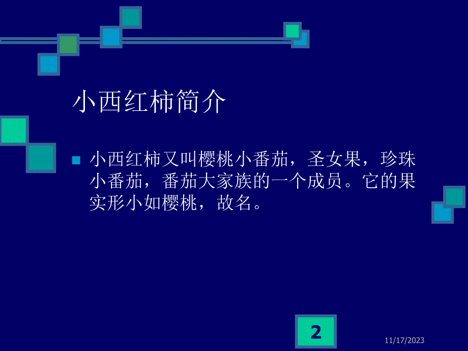 如何种植小西红柿_第2页